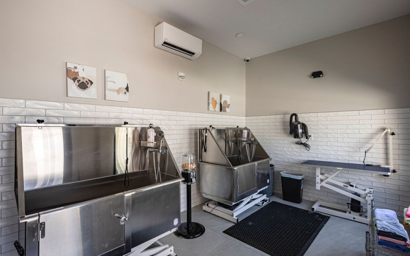 Pet Friendly Wash Stations